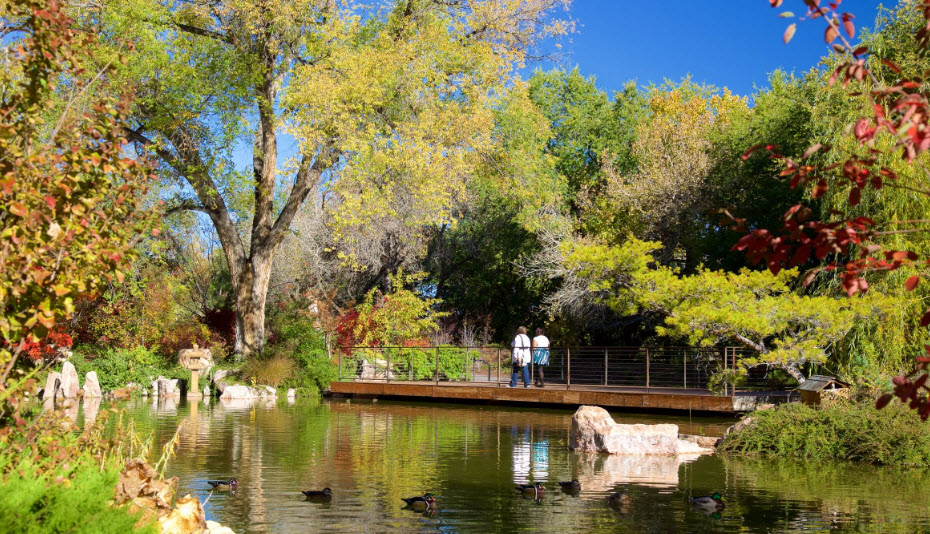 ABQ BioPark - Botanic Garden, United States